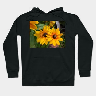 Brown Eyes Hoodie